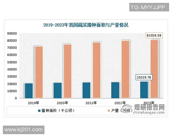姚明在NBA的影响力与美式数据分析的深度探讨